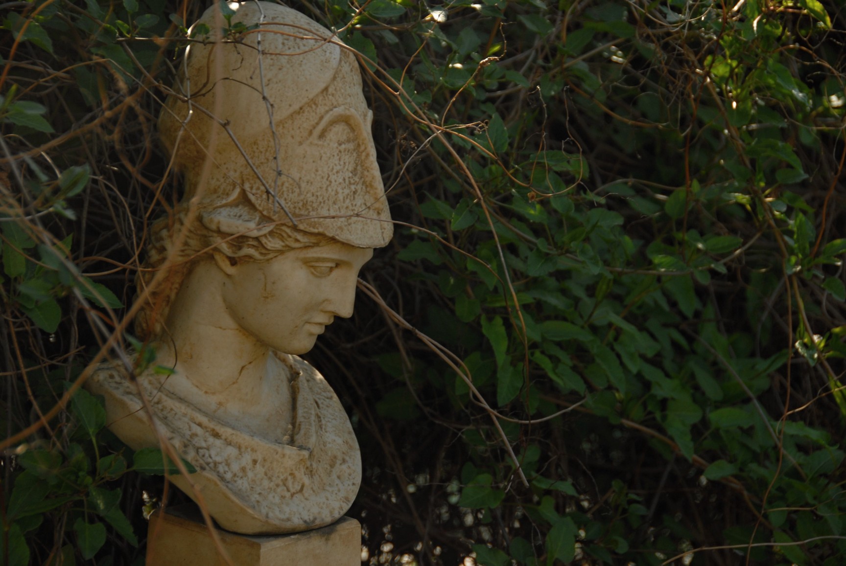 CAL 2012 duben schuzky 25.4. 17 